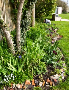 Recreation Ground 2019_72dpi-8029